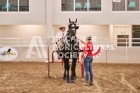 Petes Equine Photography of the draft horse hitch and mini horse competitions at the 2024 Ancaster Fair.