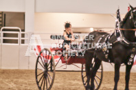 Petes Equine Photography of the draft horse hitch and mini horse competitions at the 2024 Ancaster Fair.