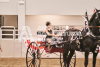 Petes Equine Photography of the draft horse hitch and mini horse competitions at the 2024 Ancaster Fair.