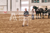 Petes Equine Photography of the draft horse hitch and mini horse competitions at the 2024 Ancaster Fair.