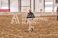 Petes Equine Photography of the draft horse hitch and mini horse competitions at the 2024 Ancaster Fair.