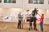 Petes Equine Photography of the draft horse hitch and mini horse competitions at the 2024 Ancaster Fair.