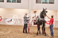 Petes Equine Photography of the draft horse hitch and mini horse competitions at the 2024 Ancaster Fair.