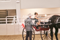 Petes Equine Photography of the draft horse hitch and mini horse competitions at the 2024 Ancaster Fair.