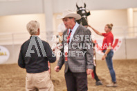 Petes Equine Photography of the draft horse hitch and mini horse competitions at the 2024 Ancaster Fair.