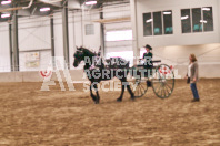 Petes Equine Photography of the draft horse hitch and mini horse competitions at the 2024 Ancaster Fair.