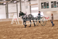 Petes Equine Photography of the draft horse hitch and mini horse competitions at the 2024 Ancaster Fair.