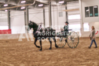 Petes Equine Photography of the draft horse hitch and mini horse competitions at the 2024 Ancaster Fair.