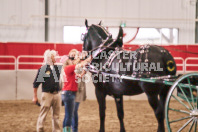 Petes Equine Photography of the draft horse hitch and mini horse competitions at the 2024 Ancaster Fair.