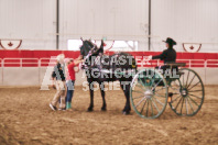 Petes Equine Photography of the draft horse hitch and mini horse competitions at the 2024 Ancaster Fair.