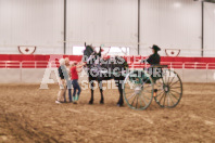 Petes Equine Photography of the draft horse hitch and mini horse competitions at the 2024 Ancaster Fair.