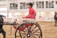 Petes Equine Photography of the draft horse hitch and mini horse competitions at the 2024 Ancaster Fair.