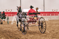 Petes Equine Photography of the draft horse hitch and mini horse competitions at the 2024 Ancaster Fair.