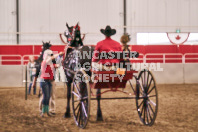 Petes Equine Photography of the draft horse hitch and mini horse competitions at the 2024 Ancaster Fair.