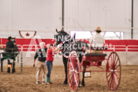 Petes Equine Photography of the draft horse hitch and mini horse competitions at the 2024 Ancaster Fair.