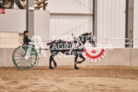 Petes Equine Photography of the draft horse hitch and mini horse competitions at the 2024 Ancaster Fair.