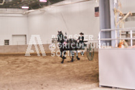 Petes Equine Photography of the draft horse hitch and mini horse competitions at the 2024 Ancaster Fair.