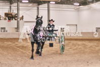 Petes Equine Photography of the draft horse hitch and mini horse competitions at the 2024 Ancaster Fair.