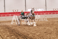 Petes Equine Photography of the draft horse hitch and mini horse competitions at the 2024 Ancaster Fair.