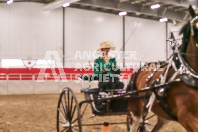 Petes Equine Photography of the draft horse hitch and mini horse competitions at the 2024 Ancaster Fair.