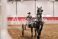 Petes Equine Photography of the draft horse hitch and mini horse competitions at the 2024 Ancaster Fair.