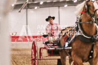 Petes Equine Photography of the draft horse hitch and mini horse competitions at the 2024 Ancaster Fair.