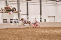 Petes Equine Photography of the draft horse hitch and mini horse competitions at the 2024 Ancaster Fair.