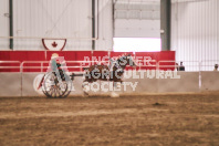 Petes Equine Photography of the draft horse hitch and mini horse competitions at the 2024 Ancaster Fair.