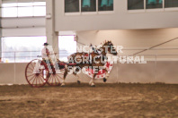 Petes Equine Photography of the draft horse hitch and mini horse competitions at the 2024 Ancaster Fair.