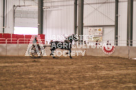 Petes Equine Photography of the draft horse hitch and mini horse competitions at the 2024 Ancaster Fair.