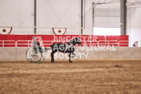 Petes Equine Photography of the draft horse hitch and mini horse competitions at the 2024 Ancaster Fair.