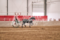 Petes Equine Photography of the draft horse hitch and mini horse competitions at the 2024 Ancaster Fair.