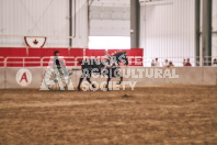 Petes Equine Photography of the draft horse hitch and mini horse competitions at the 2024 Ancaster Fair.