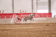 Petes Equine Photography of the draft horse hitch and mini horse competitions at the 2024 Ancaster Fair.