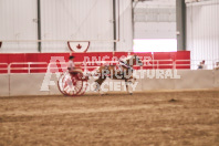 Petes Equine Photography of the draft horse hitch and mini horse competitions at the 2024 Ancaster Fair.