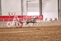 Petes Equine Photography of the draft horse hitch and mini horse competitions at the 2024 Ancaster Fair.