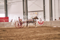 Petes Equine Photography of the draft horse hitch and mini horse competitions at the 2024 Ancaster Fair.