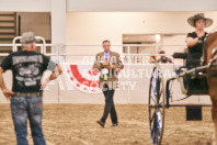 Petes Equine Photography of the draft horse hitch and mini horse competitions at the 2024 Ancaster Fair.