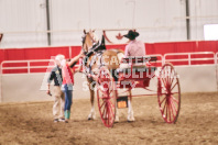 Petes Equine Photography of the draft horse hitch and mini horse competitions at the 2024 Ancaster Fair.