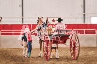 Petes Equine Photography of the draft horse hitch and mini horse competitions at the 2024 Ancaster Fair.