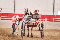 Petes Equine Photography of the draft horse hitch and mini horse competitions at the 2024 Ancaster Fair.