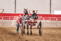 Petes Equine Photography of the draft horse hitch and mini horse competitions at the 2024 Ancaster Fair.