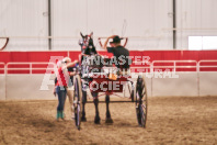 Petes Equine Photography of the draft horse hitch and mini horse competitions at the 2024 Ancaster Fair.