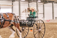 Petes Equine Photography of the draft horse hitch and mini horse competitions at the 2024 Ancaster Fair.