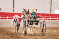 Petes Equine Photography of the draft horse hitch and mini horse competitions at the 2024 Ancaster Fair.