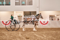 Petes Equine Photography of the draft horse hitch and mini horse competitions at the 2024 Ancaster Fair.