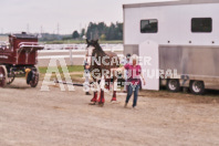 Petes Equine Photography of the draft horse hitch and mini horse competitions at the 2024 Ancaster Fair.