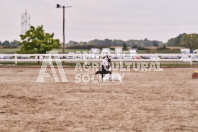 Petes Equine Photography of the draft horse hitch and mini horse competitions at the 2024 Ancaster Fair.