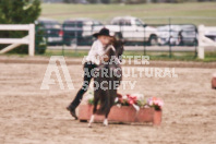 Petes Equine Photography of the draft horse hitch and mini horse competitions at the 2024 Ancaster Fair.