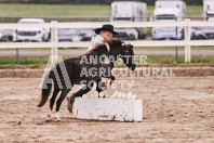 Petes Equine Photography of the draft horse hitch and mini horse competitions at the 2024 Ancaster Fair.